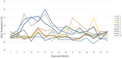 Experimentally controlled study indicates that the naturally occurring recombinant vaccine-like lumpy skin disease strain Udmurtiya/2019, detected during freezing winter in northern latitudes, is transmitted via indirect contact